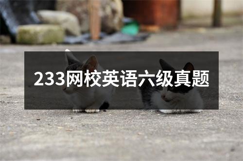 233网校英语六级真题