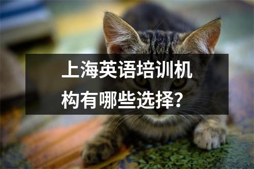 上海英语培训机构有哪些选择?