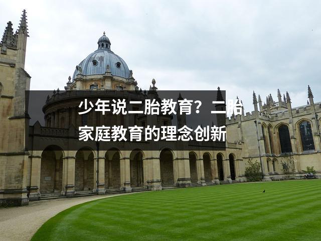 少年说二胎教育?二胎家庭教育的理念创新