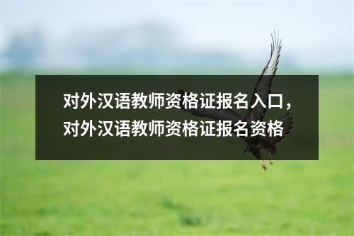 对外汉语教师资格证报名入口,对外汉语教师资格证报名资格