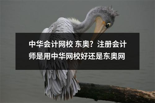 中华会计网校 东奥?注册会计师是用中华网校好还是东奥网