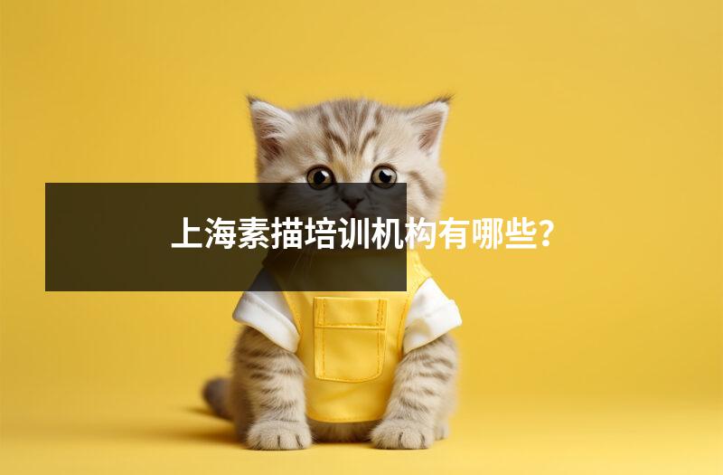 上海素描培训机构有哪些?