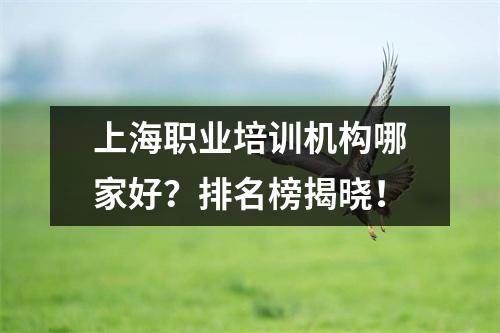 上海职业培训机构哪家好?排名榜揭晓!