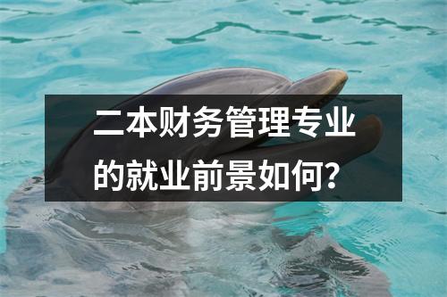 二本财务管理专业的就业前景如何？