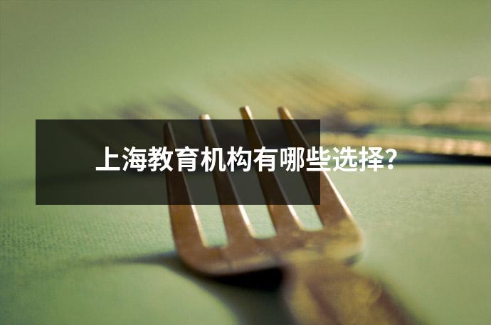 上海教育机构有哪些选择?