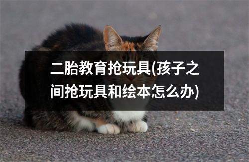 二胎教育抢玩具(孩子之间抢玩具和绘本怎么办)