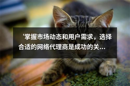 ‘掌握市场动态和用户需求，选择合适的网络代理商是成功的关键’