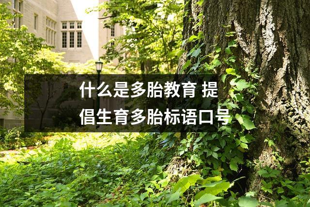 什么是多胎教育 提倡生育多胎标语口号