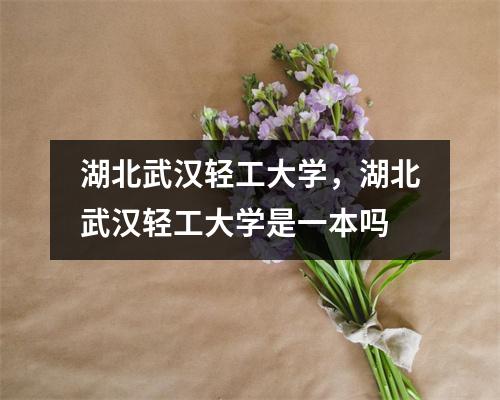 湖北武汉轻工大学,湖北武汉轻工大学是一本吗