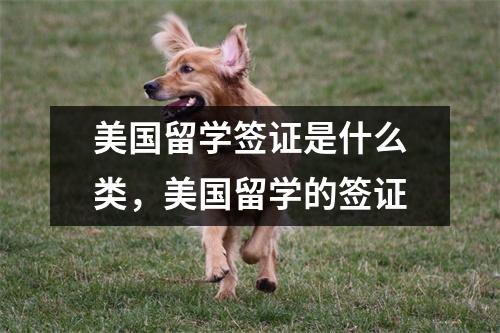 美国留学签证是什么类,美国留学的签证