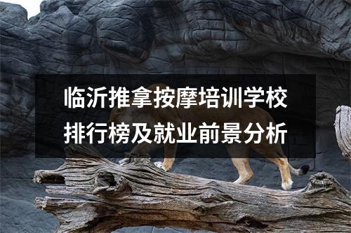 临沂推拿按摩培训学校排行榜及就业前景分析