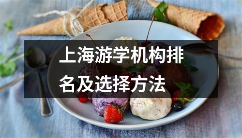 上海游学机构排名及选择方法