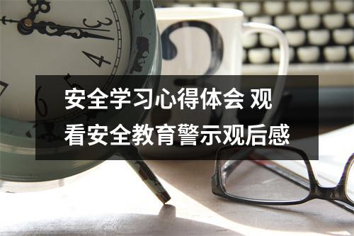 安全学习心得体会 观看安全教育警示观后感