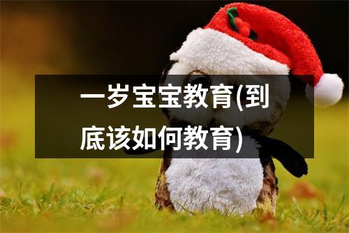 一岁宝宝教育(到底该如何教育)