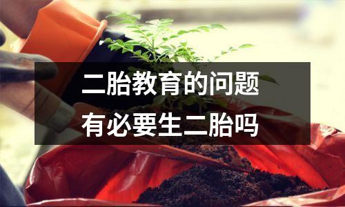 二胎教育的问题 有必要生二胎吗