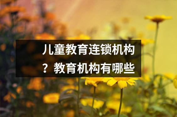儿童教育连锁机构?教育机构有哪些