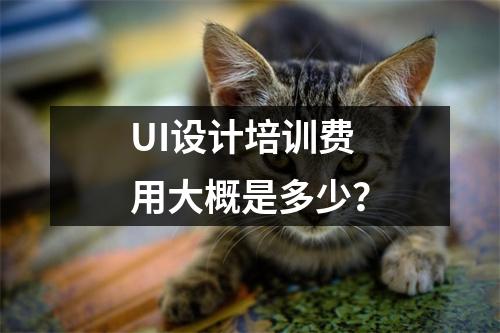 UI设计培训费用大概是多少?