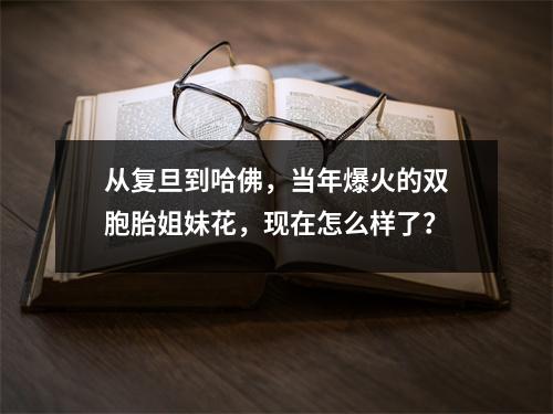 从复旦到哈佛，当年爆火的双胞胎姐妹花，现在怎么样了？