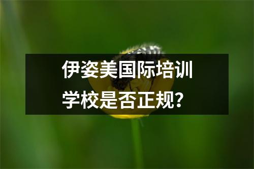 伊姿美国际培训学校是否正规？