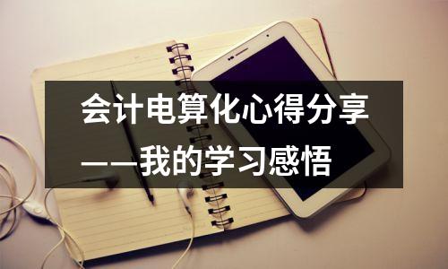 会计电算化心得分享——我的学习感悟
