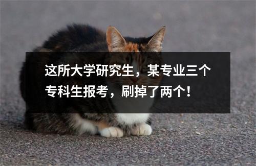 这所大学研究生，某专业三个专科生报考，刷掉了两个！
