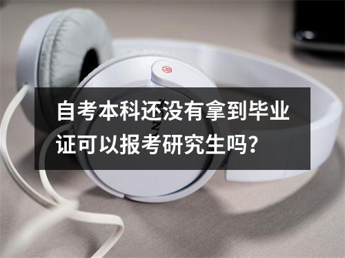 自考本科还没有拿到毕业证可以报考研究生吗？