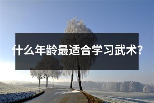 什么年龄最适合学习武术？