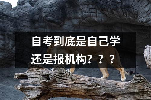 自考到底是自己学还是报机构？？？