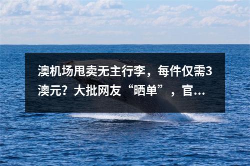 澳机场甩卖无主行李，每件仅需3澳元？大批网友“晒单”，官方回应