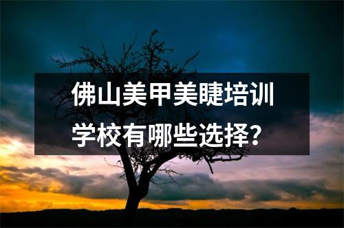 佛山美甲美睫培训学校有哪些选择？