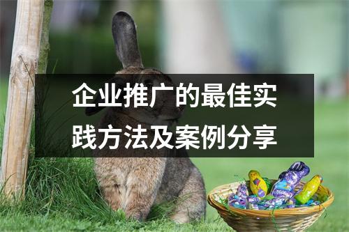 企业推广的最佳实践方法及案例分享