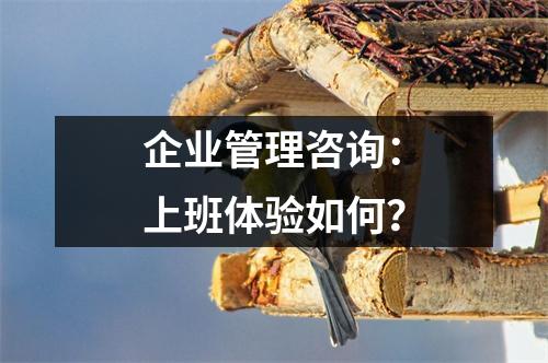 企业管理咨询:上班体验如何?