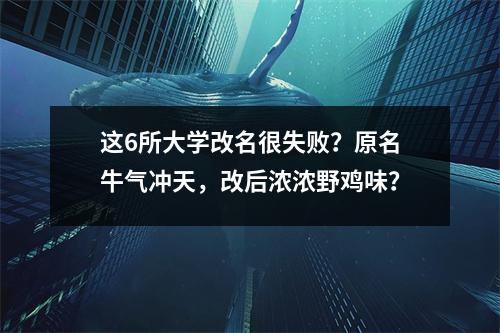 这6所大学改名很失败？原名牛气冲天，改后浓浓野鸡味？