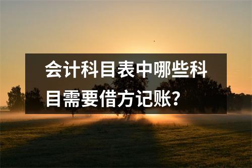 会计科目表中哪些科目需要借方记账？