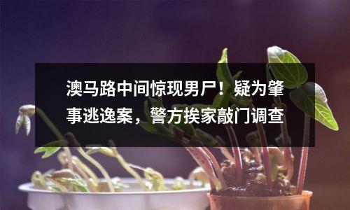澳马路中间惊现男尸！疑为肇事逃逸案，警方挨家敲门调查