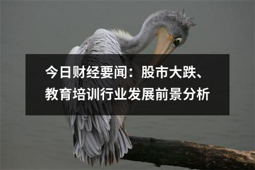 今日财经要闻：股市大跌、教育培训行业发展前景分析