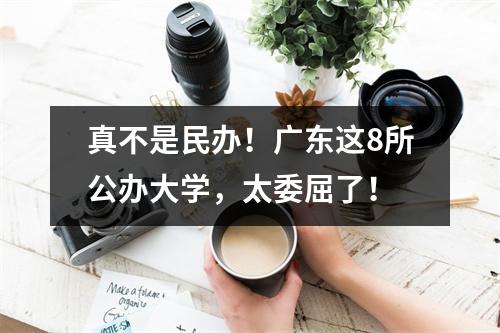 真不是民办！广东这8所公办大学，太委屈了！