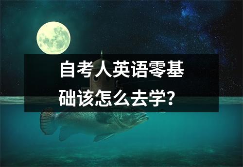 自考人英语零基础该怎么去学？