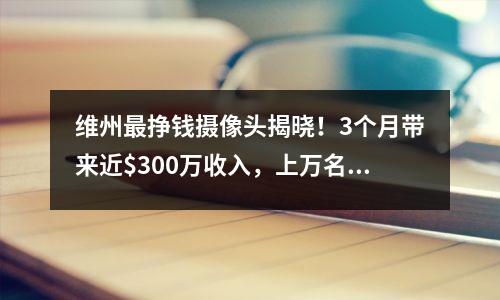 维州最挣钱摄像头揭晓！3个月带来近$300万收入，上万名司机被罚