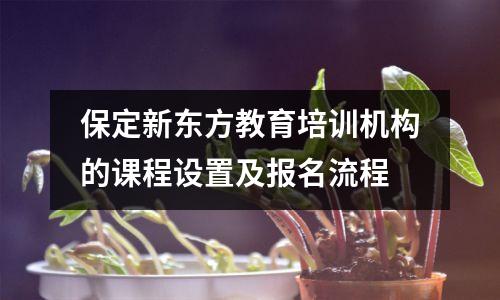 保定新东方教育培训机构的课程设置及报名流程