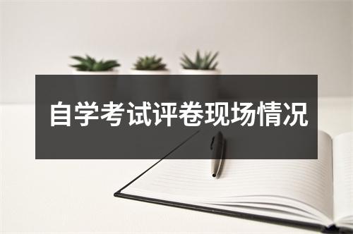 自学考试评卷现场情况