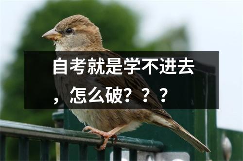 自考就是学不进去，怎么破？？？