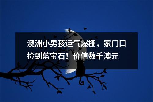 澳洲小男孩运气爆棚，家门口捡到蓝宝石！价值数千澳元