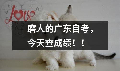 磨人的广东自考,今天查成绩!!