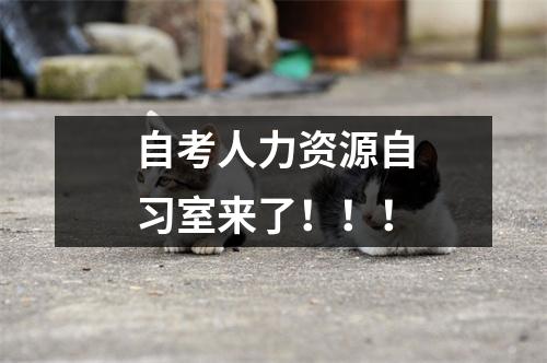 自考人力资源自习室来了！！！
