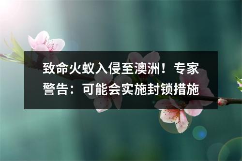 致命火蚁入侵至澳洲！专家警告：可能会实施封锁措施