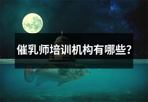 催乳师培训机构有哪些？