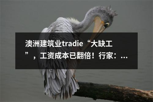 澳洲建筑业tradie“大缺工”，工资成本已翻倍！行家：要装修的赶紧，年末需求还会涨