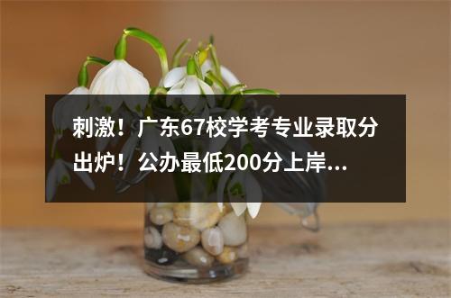 刺激！广东67校学考专业录取分出炉！公办最低200分上岸？