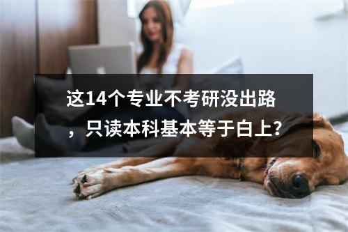 这14个专业不考研没出路，只读本科基本等于白上？
